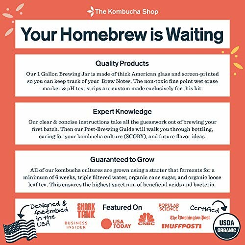 Kombucha homebrew kit advertisement highlighting features and benefits.